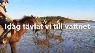 Tävlar till vattnet 💧! Stenungsunds ridklubb