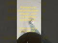 pratiquer une activité physique adaptée à plusieurs c'est de l'émulation..#apa #emulation #sports