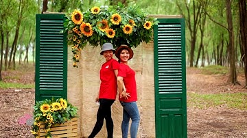 Hướng dẫn tự trang trí đám cưới chủ đề hoa hướng dương/ Cách tự trang trí cưới / Đám Cưới Phong Cách