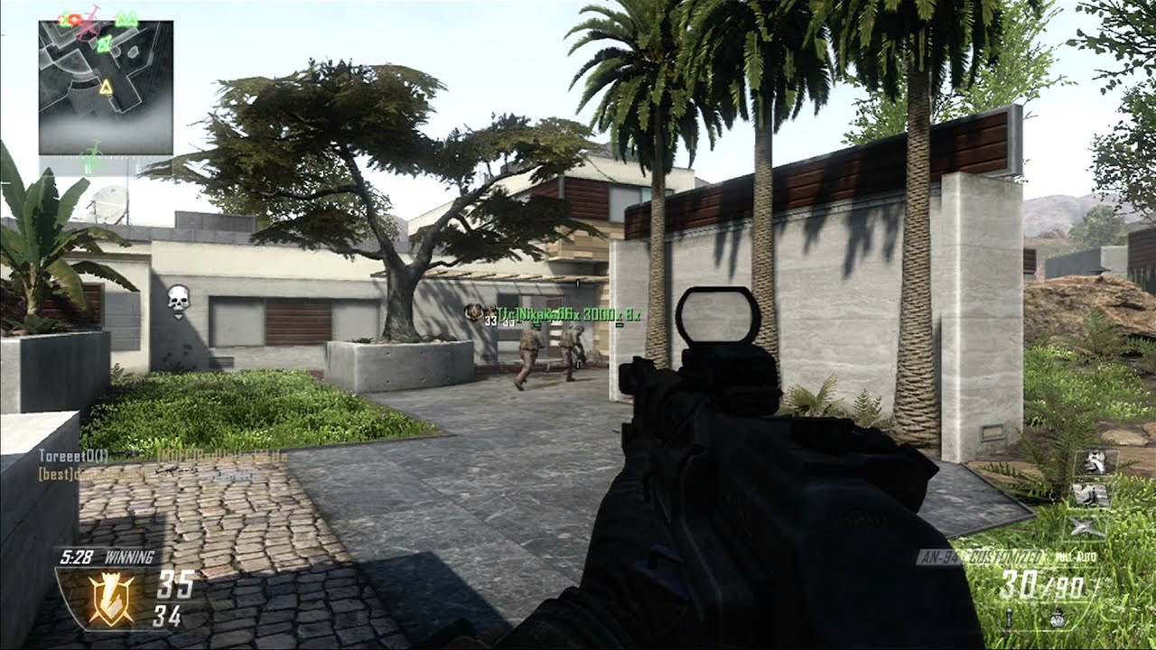 Black ops 2 on Raid - two K9 units