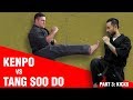 Tang Soo do vs Kenpo: KICKS | ART OF ONE DOJO