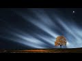 Dreams - Peaceful Music | Healing Music | Meditation Music | Relaxation | Prayer Music