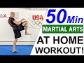 50 Minute Martial Arts Home Workout (No Equipment)