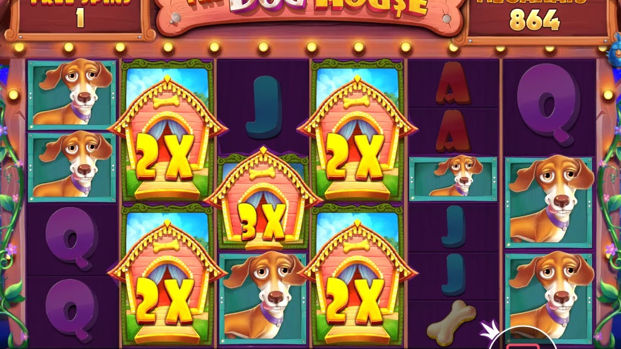 THE DOG HOUSE MEGAWAYS LANDS MULTIPLE BIG WINS - YouTube