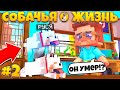 СОБАЧЬЯ ЖИЗНЬ В МАЙНКРАФТ #2 СОБАКА СТАЛА ПРИЗРАКОМ? ХОЗЯИН В ШОКЕ!?