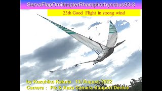 サーボ駆動翼竜型羽ばたき機　SFORhamphorhynchus93-3 29g 23th Good  Flight in Strong Wind