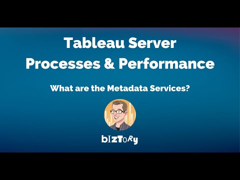 Tableau Server Processes | What are the Metadata Services?
