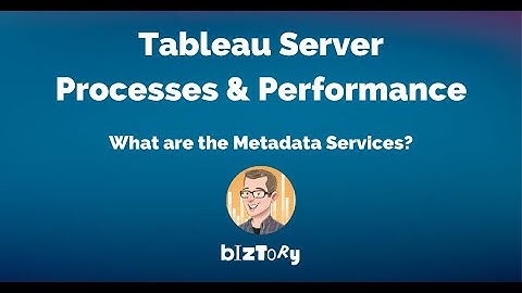 Tableau Server Processes | What are the Metadata Services?