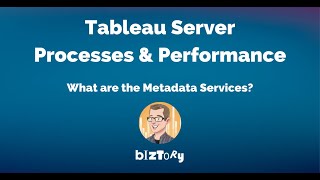 Tableau Server Processes | What are the Metadata Services?