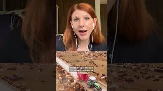 What screwworm means for the price of beef in the US