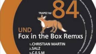 Alex Nagshineh - Fox In The Box.m4V