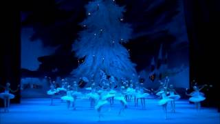 The Nutcracker 2010 4