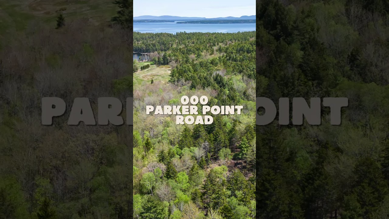 🌿 Buildable Land For Sale | 000 Parker Point Road, Blue Hill, Maine