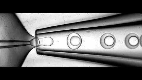 Microfluidics Polymersomes
