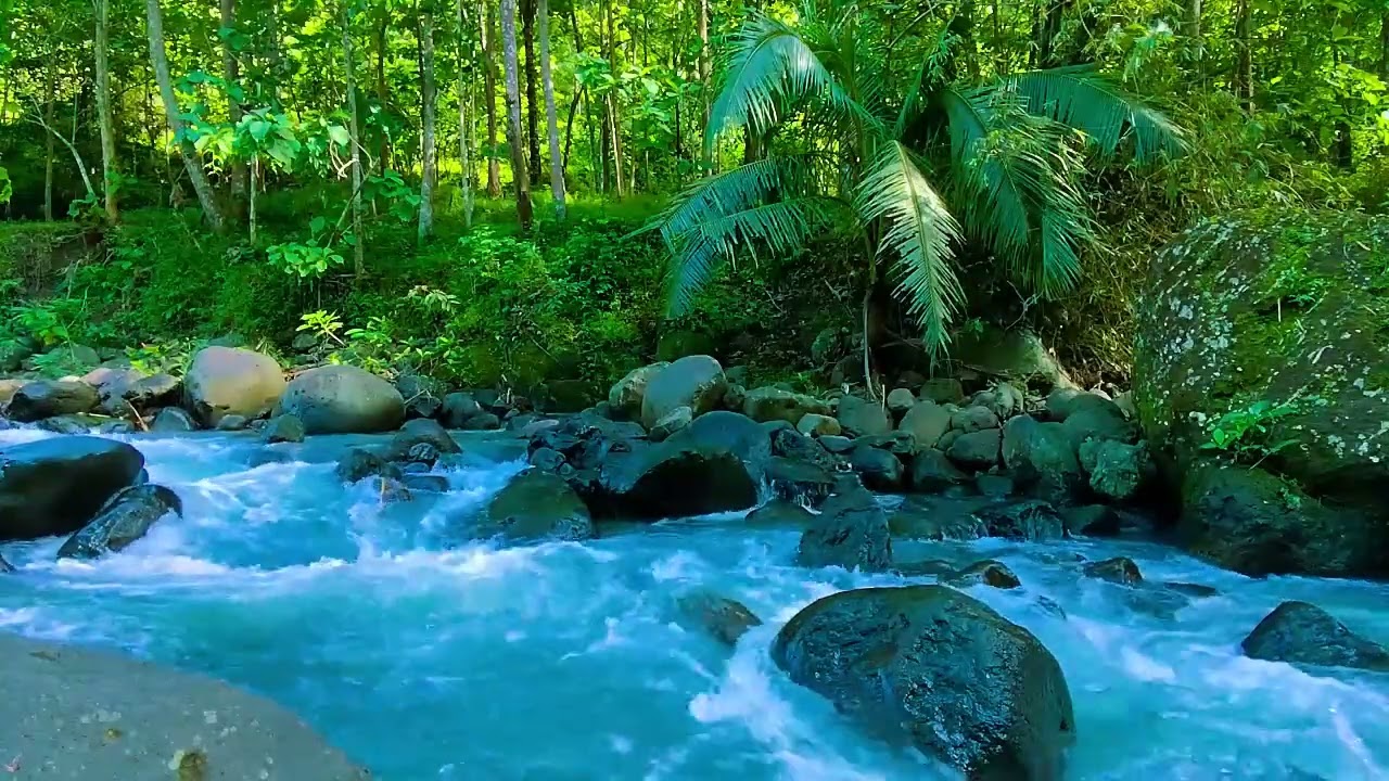 Instant Peace of Mind - River Water, Relaxing Sounds and Relieves Anxiety
