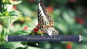 آیات صحابه در قران - سوره انفال آیه 65 و 66