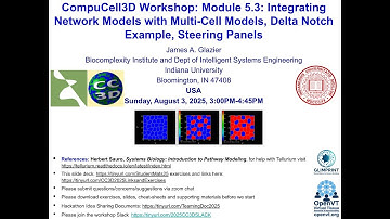 CompuCell3D WS 2025: 5.3: Build a Delta Notch Model [James Glazier] August 1, 2025