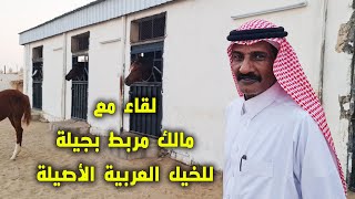 لقاء مع مالك مربط بجيلة للخيل العربية الأصيلة / عمر المالكي (أبو حازم) ..