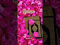 SURAH ANKABOOT QURAN URDU TRANSLATION RECITATION 🩷🙏#ytshorts #shortvideo