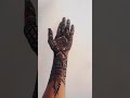 Aligarh Mehendi Artist #mehendi #aligarh #song