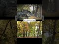 dinosour vfx compose #vfx #shorts #after effect