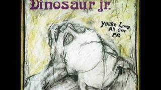 Dinosaur Jr - In a Jar