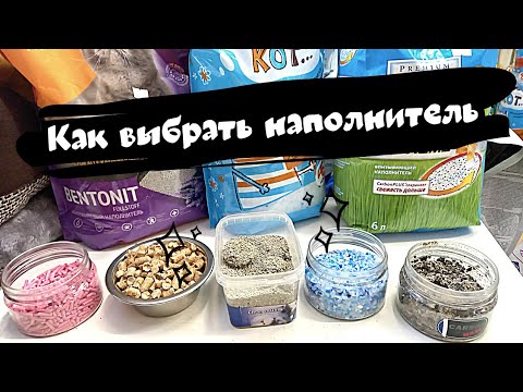 Наполнитель для кошачьего туалета- Как выбрать?