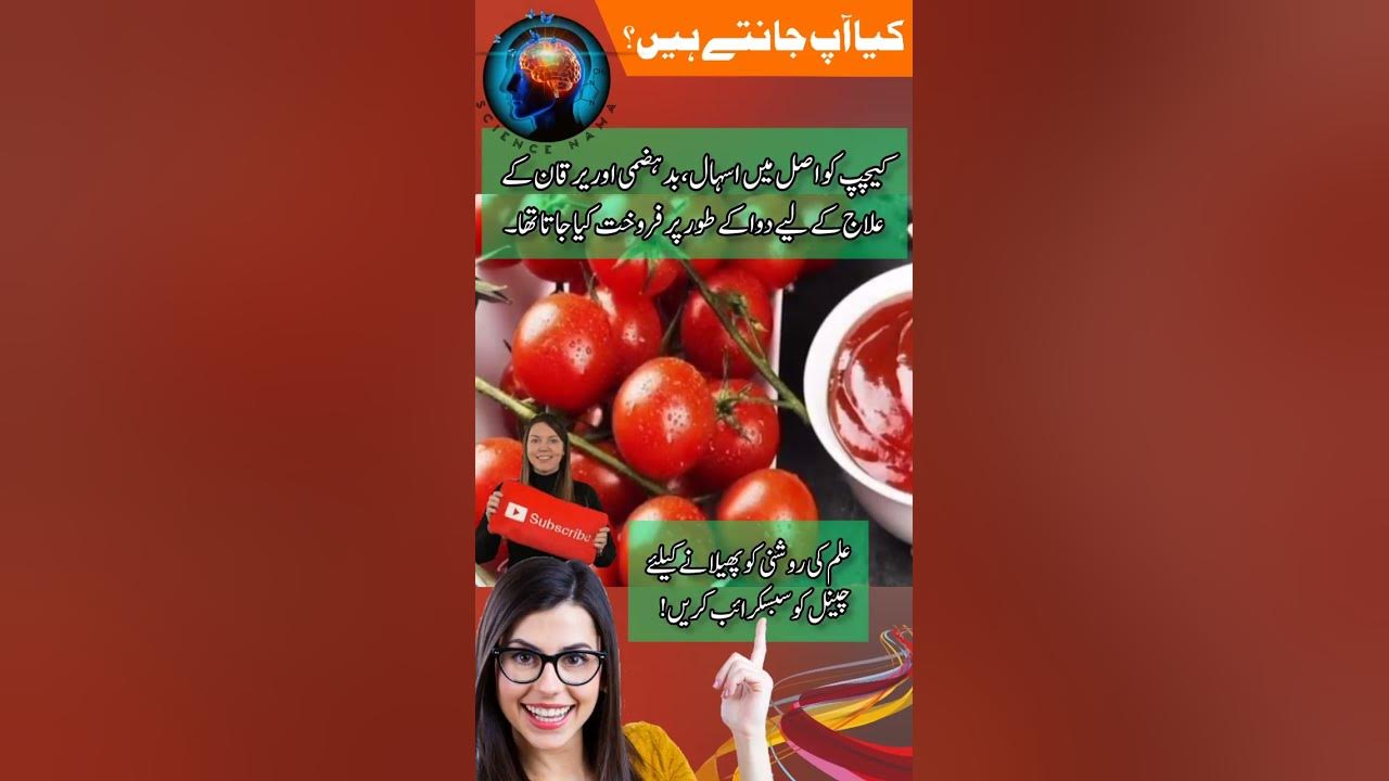 tomato ketchup use in urdu shorts urdu inurdu facts urdufacts 