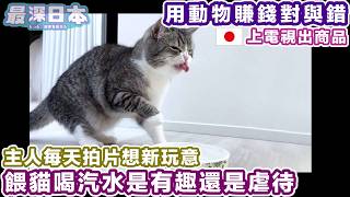 【最深日本】領養小貓拍YouTube 2年便買新屋的一戶建 | 每天拍片找新題材是否導致懷疑虐貓的主要原因？ 希望Mochimaru有幸福的生活【浮世論】