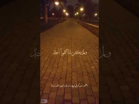 سورة الإخلاص سورة تعادل ثلث القرآن وفضل سورة الإخلاص اسلام صبحي قوارير