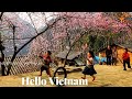 Hello Vietnam-Era Tour