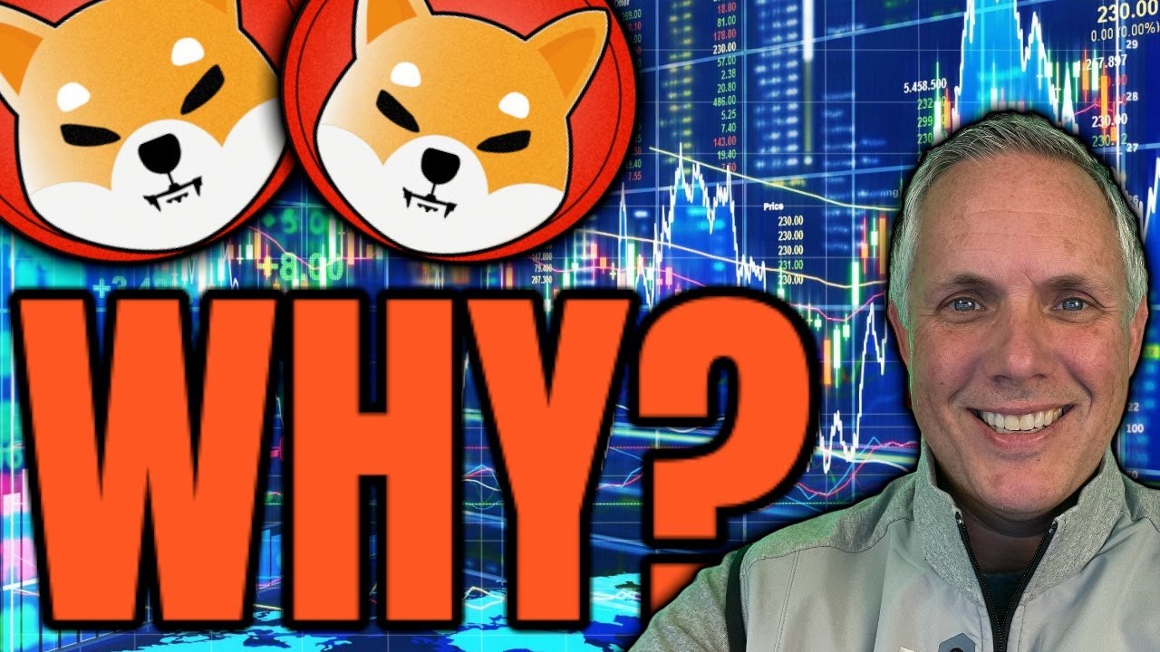 WHY IS SHIBA INU GOING UP? YouTube