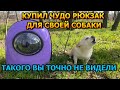 НЕВЕРОЯТНАЯ НАХОДКА Купил Чудо Рюкзак Капсула для прогулки со своей собакой