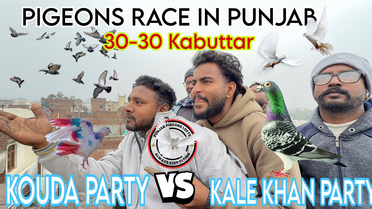 6 January 2026 ka Kabuttarbazi Mukabla in punjab