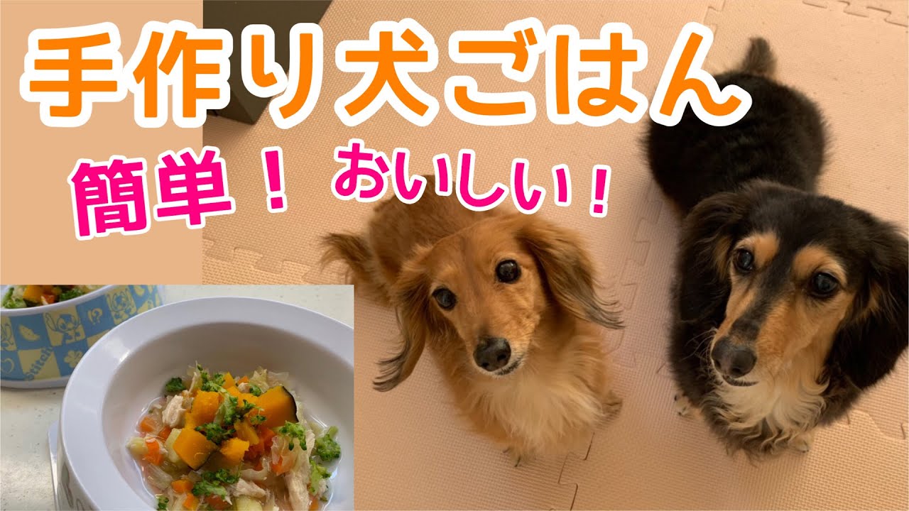 【ダックスフンド】簡単！手作り犬ごはん♡ささみと野菜のスープ煮【cooking】