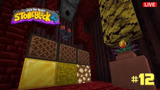 The Advanced Machinery Upgrade & The Mighty Ender Chicken | FTB StoneBlock 4 🔴