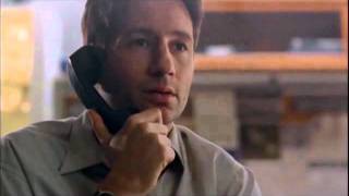 {X-Files} 'Scully...marry me.'