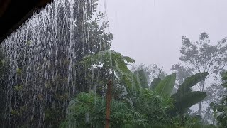 DEEP SLEEP FAST 😴 Real Heavy Rain on Roof 🌧️ Fall Asleep Fast &amp; Sleep All Night