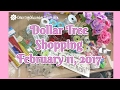 Dollar Tree Shopping February 11, 2017