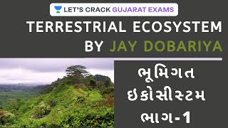ભૂમિગત ઇકોસીસ્ટમ ભાગ - 1 | Terrestrial Ecosystem (Environment) | GPSC 2020 | Jay Dobariya screenshot 1