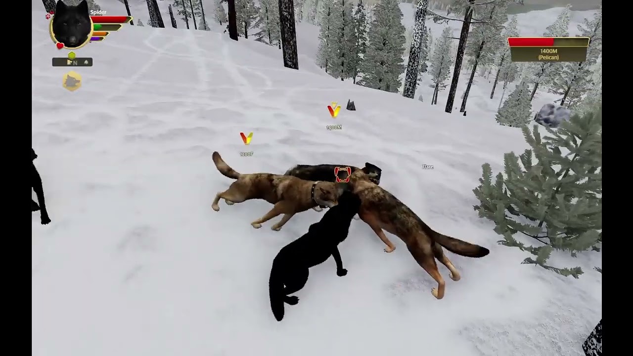 The second litter is born | Wolfquest: Outlook Pack (Ep 11)