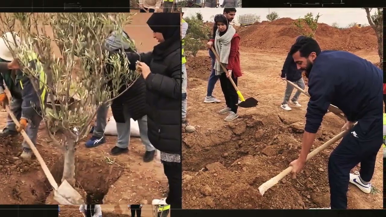 Team-building ALTO EKO 2024 - Planter des arbres