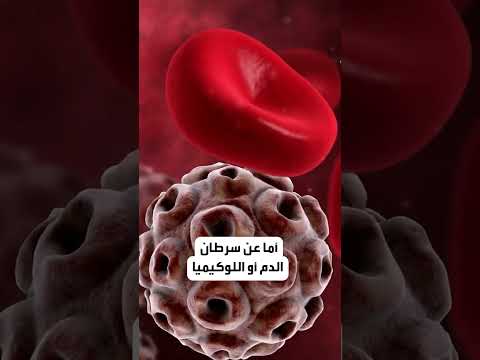 رحيل صادم للتيكتوكر المغربية شيماء بن سعيد بعد أشهر من زواجها فما سبب الوفاة