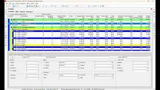 Earned Value Analysis EVA using Primavera P6 Professional