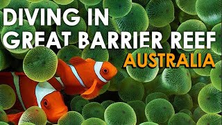 Scuba Diving Great Barrier Reef Australia | Shark Sea Turtles Clown Fish | Underwater Canon G15