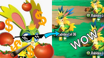 HOW TO BREED RABIDEX (monster legends)