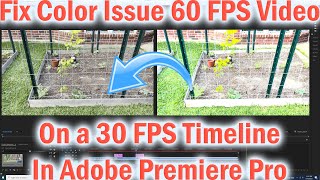 Famous Fix Color Issue 60 FPS on 30 FPS timeline Adobe Premiere Pro Net Worth