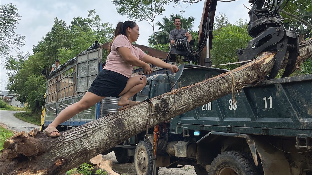 After so many days of hard work purchasing and transporting wood, now I have received the results.