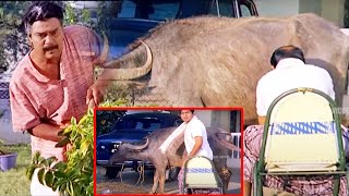 Brahmanandam And Kota Srinivasa Rao Hilarious Comedy Scene  Telugu Comedy Scene  Telugu S