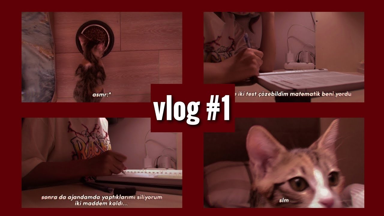 Study With Me 1 YouTube study-with-me-1-youtube